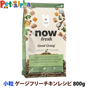 iEtbV ObhO[r[ X[u[h Q[Wt[`LVs 800g  NOW FRESH  hbOt[h hbN hC  VjA `L ^