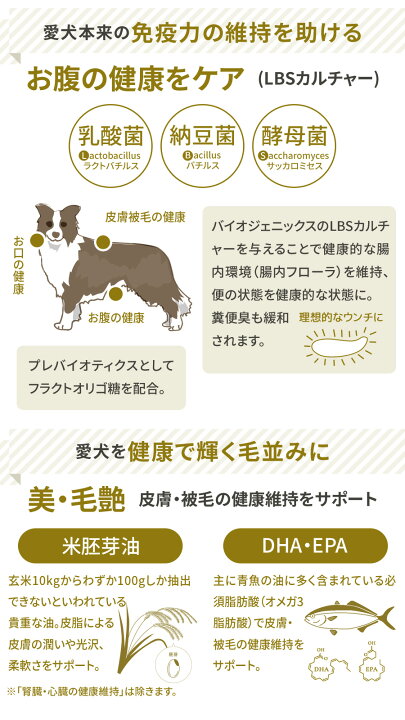 楽天市場】プロフェッショナルバランス ドライフード 超小粒 7歳から 