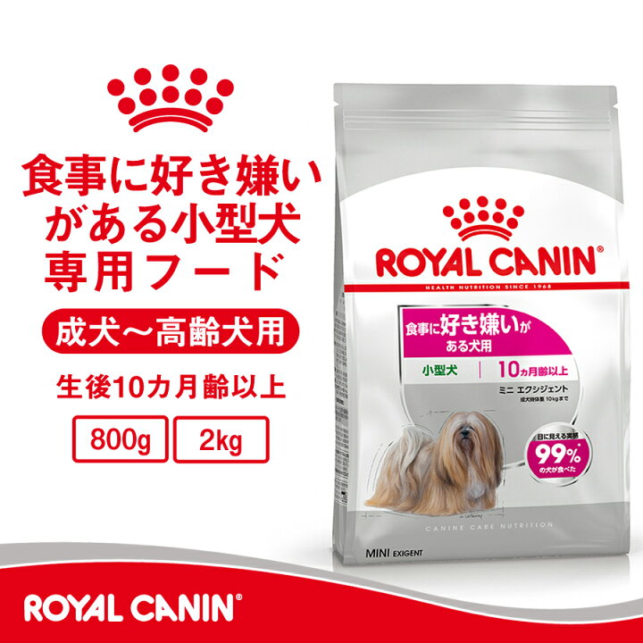 楽天市場】【セット購入がお得】ロイヤルカナン ミニ エクシジェント 