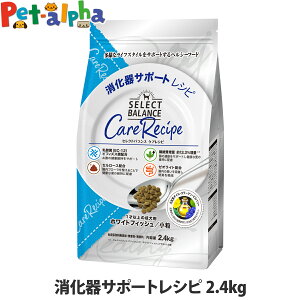 ZNgoX PAVs T|[gVs  2.4kg hbOt[h  hC  A_g zCgtBbV Ȃ _ rtBYX Z[X