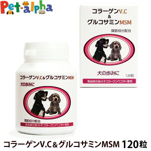 {r[Gt R[QORT~ 120  Tvg veIOJ ORT~ RhC`  ֐ 畆