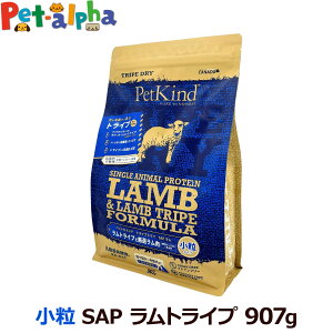 yܖ2025/10/15`փpbP[WŏoׁzybgJCh gCvhC gCv SAP  907g  hbOt[h OCt[ sgp hC q  VjA ps[ 