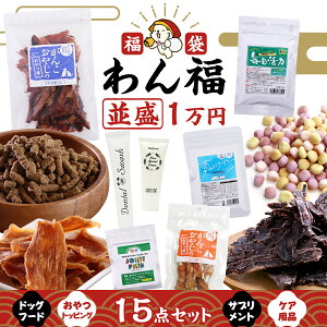  2025~  񕟁qr hbOt[h   _ۃTv    lߍ킹 v[g Mtg ܂Ƃߔ j