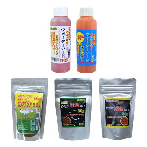 ߂̂ Zbg  t EH[^[t[h _J GT a