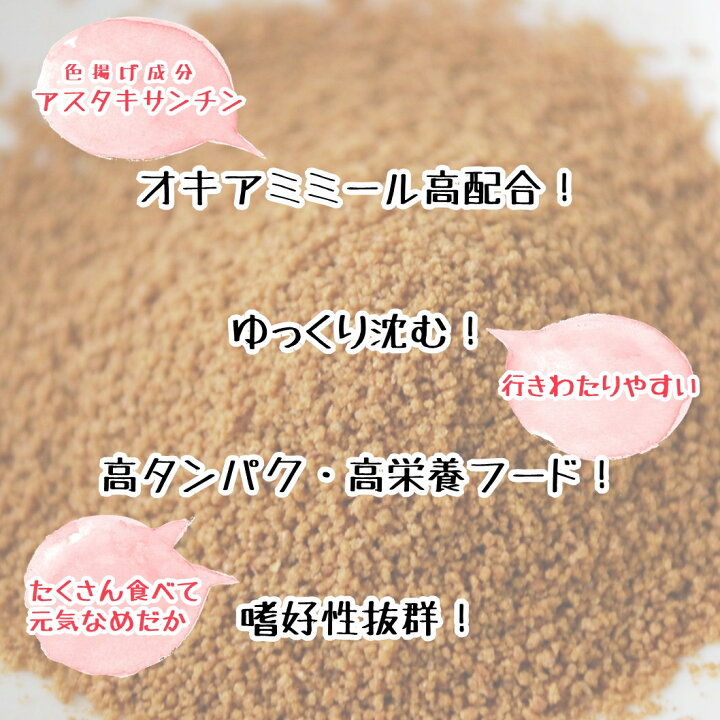 楽天市場 メダカ めだかのえさ お試しセット 仔魚 稚魚 成魚用 めだか メダカ 赤ちゃん 稚魚 えさ 餌 赤ちゃんのえさ 稚魚の餌 成魚 P F ペット アンド フィッシュ