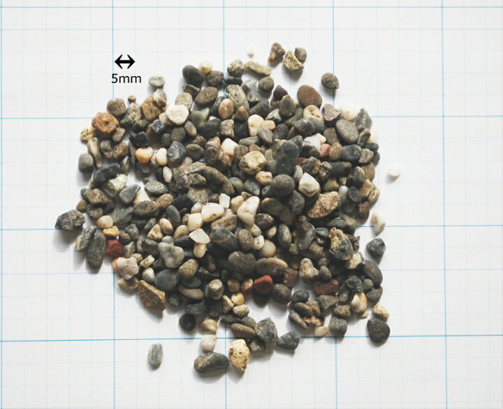 新品 メダカ めだか飼育用底土 ろ過ソイル ブラウン 10kg Shipsctc Org 新品 メダカ めだか飼育用底土 ろ過ソイル ブラウン 10kg Shipsctc Org