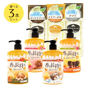 yVizj`hE pVv[ Iׂ3{Zbg 蒷Vv[ 300ml [Y/t[/؍/_[WE~Nr[eB Vv[ 200ml _bNXth/gCv[h/