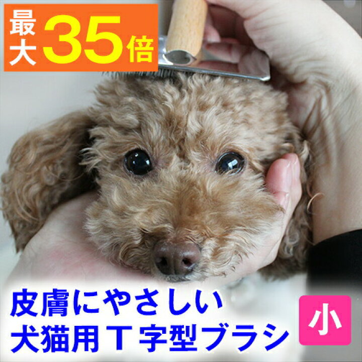 Wfxsegisueydpm