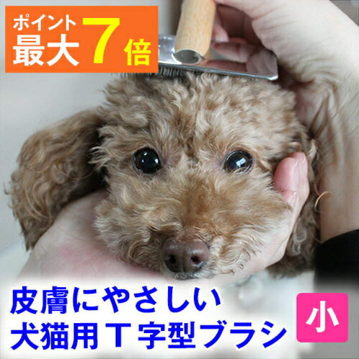楽天市場 最大p7倍 あす楽 痛くない 皮膚にやさしい 犬猫用 ｔ字型 ブラシ スリッカー 小 犬 猫 コーム ブラシ アンダーコート ブラッシング 清潔 毛玉 ほぐし フワフワ ふわふわ クッション やわらか ステンレス 日本製 パピーのファーストブラシ シニアの