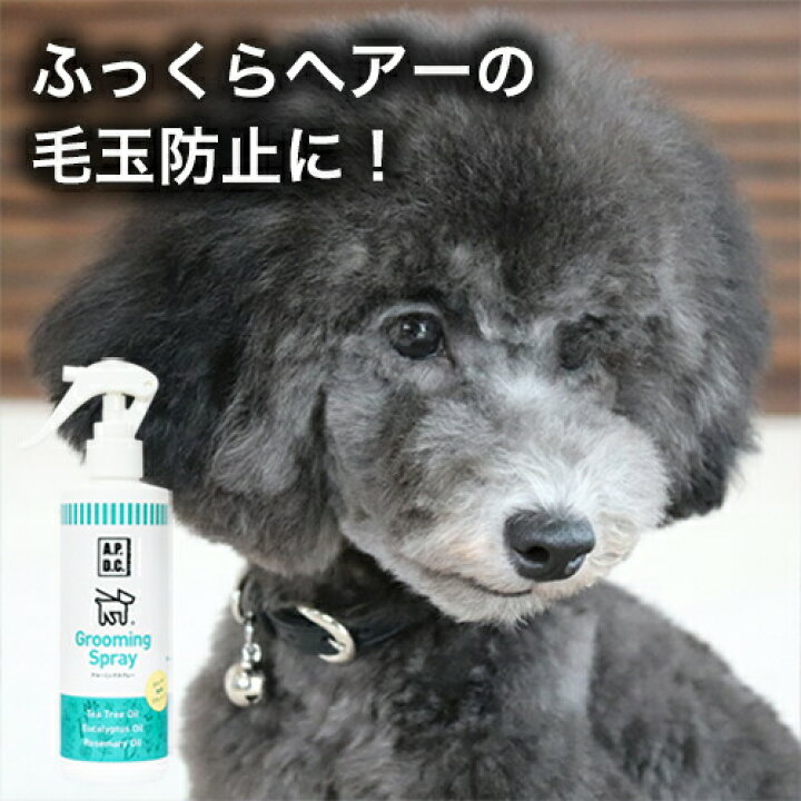 楽天市場 24h限定 11 8 0円 1000円クーポン ブラッシングスプレー 250ml 毛づや美人 毛並み男子に仕上がるスプレー 体臭対策も 無農薬ハーブオイル使用 Apdc グルーミングスプレー 犬 アンダーコート コーム 抜け毛 切れ毛 毛玉 保湿 防虫 静電気