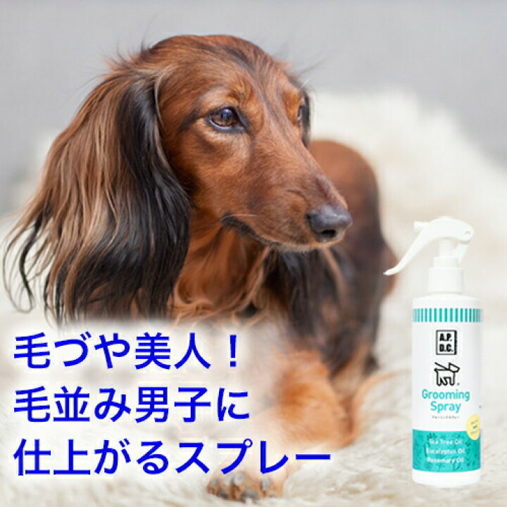 楽天市場 24h限定 11 8 0円 1000円クーポン ブラッシングスプレー 250ml 毛づや美人 毛並み男子に仕上がるスプレー 体臭対策も 無農薬ハーブオイル使用 Apdc グルーミングスプレー 犬 アンダーコート コーム 抜け毛 切れ毛 毛玉 保湿 防虫 静電気