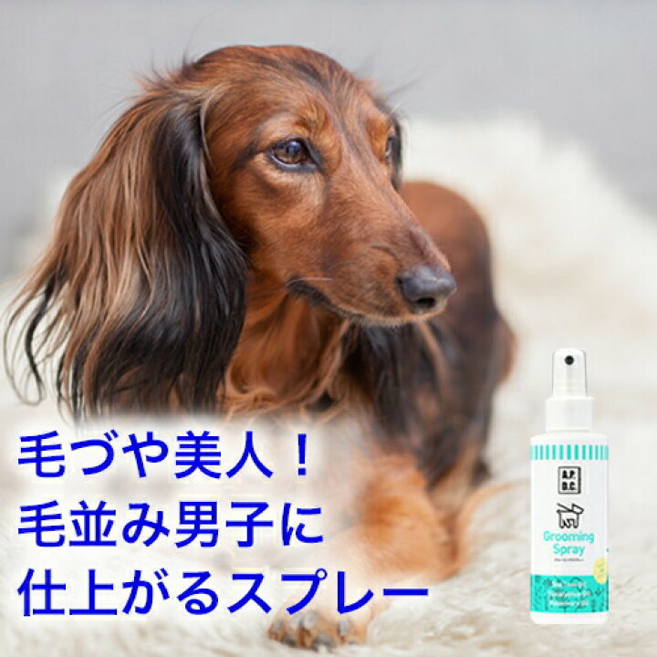 楽天市場 ポイント最大16倍 ブラッシングスプレー 125ml 毛づや美人 毛並み男子に仕上がるスプレー 体臭対策も 無農薬ハーブオイル使用 Apdc グルーミングスプレー 犬 アンダーコート コーム 抜け毛 切れ毛 毛玉 保湿 防虫 静電気 ぺったんpet