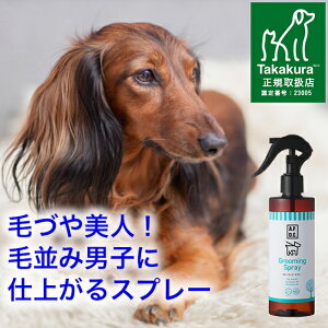 200~N[|E{聟 O[~O Xv[  125ml/250ml ubVO Xv[  I[KjbN іh~ ы \h VR тÂ щ ɂȂ