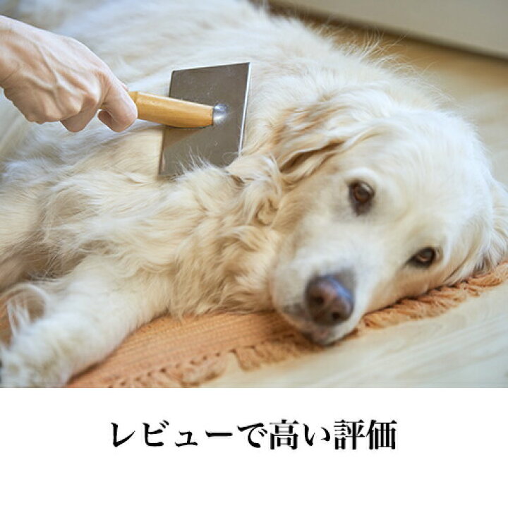 楽天市場 最大p35倍 あす楽 痛くない 皮膚にやさしい 犬猫用 ｔ字型 ブラシ スリッカー 中 犬 猫 コーム ブラシ アンダーコート ブラッシング 清潔 毛玉 ほぐし フワフワ ふわふわ クッション やわらか ステンレス 日本製 パピーのファーストブラシ シニアの