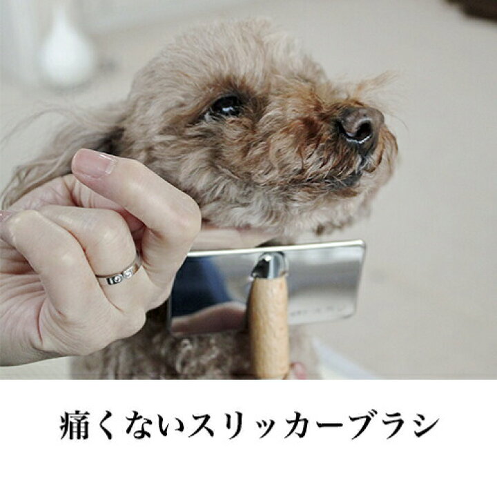 楽天市場 最大p46倍 あす楽 痛くない 皮膚にやさしい 犬猫用 t字型 ブラシ スリッカー 小 犬 猫 ブラシ アンダーコート ブラッシング 清潔 毛玉 ほぐし フワフワ ふわふわ クッション やわらか ステンレス 日本製 パピーのファーストブラシ シニアの 楽天市場 最大p46倍 あす楽 痛くない 皮膚にやさしい 犬猫用 t字型 ブラシ スリッカー 小 犬 猫 ブラシ アンダーコート ブラッシング 清潔 毛玉 ほぐし フワフワ ふわふわ クッション やわらか ステンレス 日本製 パピーのファーストブラシ シニアの