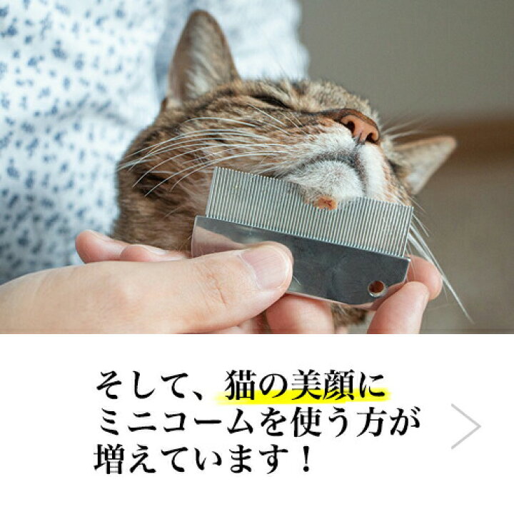 楽天市場 本日ポイント3倍 リピ2倍 楽天１位 ハチコウ 目ヤニ取りクシ ミニコーム 美顔対策 くし コーム グルーミング ブラッシング お手入れ 抜け毛 顔 目元 口 目やに 目ヤニ 犬 涙やけ 涙ヤケ トイプードル ポメラニアン ノミ取り ぺったんpet
