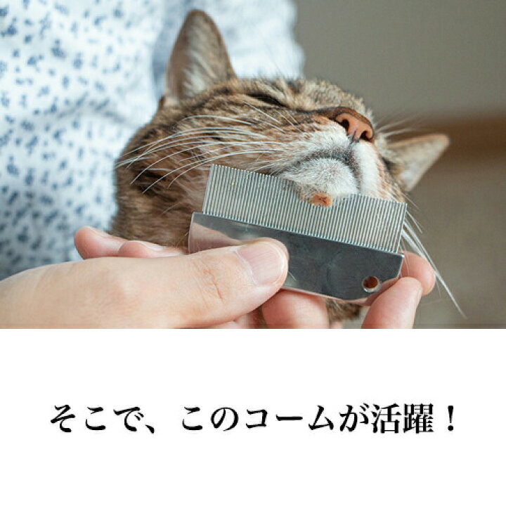楽天市場 美顔対策 あす楽 高級 目ヤニ取りクシ ミニコーム いぬ ねこ くし コーム ブラシ グルーミング ブラッシング ペット お手入れ 抜け毛 被毛ケア 顔 目元 口 除毛 目やに 目ヤニ 涙やけ 涙ヤケ 涙管 洗浄 トイプードル ポメラニアン チワワ ダックス