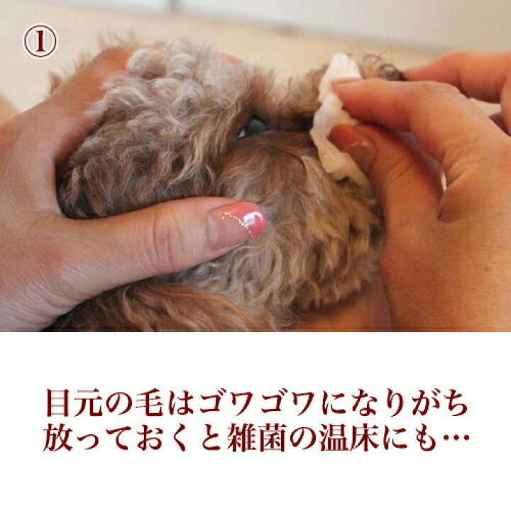 楽天市場 最大p26倍 美顔対策 あす楽 高級 目ヤニ取りクシ ミニコーム いぬ ねこ くし コーム ブラシ グルーミング ブラッシング ペット お手入れ 抜け毛 顔 目元 口 目やに 目ヤニ 涙やけ 涙ヤケ 涙管 洗浄 トイプードル ポメラニアン チワワ ダックス ノミ
