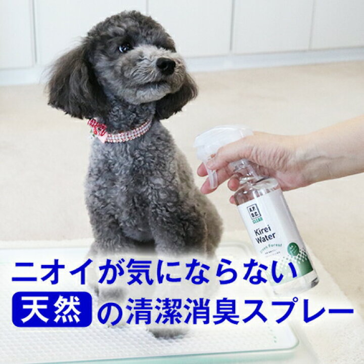 楽天市場 最大p14倍 ペットに直接スプレーしてニオイを解決 キレイウォーター グリーンフォレスト 消臭剤 除菌剤 犬 いぬ 猫 ねこ ペット 体臭 くさい 臭い 臭う ニオイ フィトンチッド 肛門腺 トイレ 大腸菌 悪臭 毛づや 毛 抜ける 目やに 目ヤニ ブラッシング 楽天市場 最大p14倍 ペットに直接スプレーしてニオイを解決 キレイウォーター グリーンフォレスト 消臭剤 除菌剤 犬 いぬ 猫 ねこ ペット 体臭 くさい 臭い 臭う ニオイ フィトンチッド 肛門腺 トイレ 大腸菌 悪臭 毛づや 毛 抜ける 目やに 目ヤニ ブラッシング
