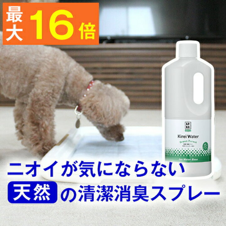 楽天市場 ポイント最大16倍 キレイウォーター グリーンフォレスト1l詰替用お得なサイズ ペットに直接スプレーしてニオイを解決 詰替えしやすいロート付 消臭剤 除菌 犬 猫 ペット 体臭 くさい 臭い 臭う ニオイ トイレ 悪臭 毛づや ぺったんpet
