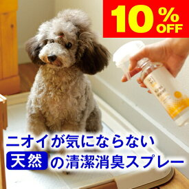 ★10％OFF★スーパーセール限定◆天然100％★ペット に 直接 スプレー できる！ キレイウォーター シトラスミント 300ml ( 犬 猫 モモンガ フェレット 動物 ホテル 部屋 トイレ 壁紙 旅行 服 介護 カーペット 枕 消臭剤 消臭 うんち おしっこ 匂い 臭い )