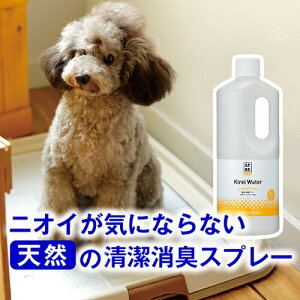 ���|�C���g5�{�E�{�����聟 �y�����z�� �L ���L�X�v���[ ���p �L�p ���L ���L�� ���L�X�v���[ �������� �I�V�b�R �g�C�� �u�ԏ��L �L���C�E�H�[�^�[ �l�֗p270ml/1L�i�O���[���t�H���X�g/�V�g