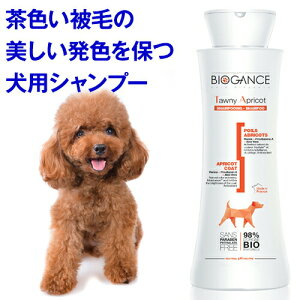 50~N[|E{聚 Vv[ n̖ѐFp ^Ej[EAvRbgVv[ioCIKXj񂸂̍  A A Y I[KjbN ѕ тÂ 邨