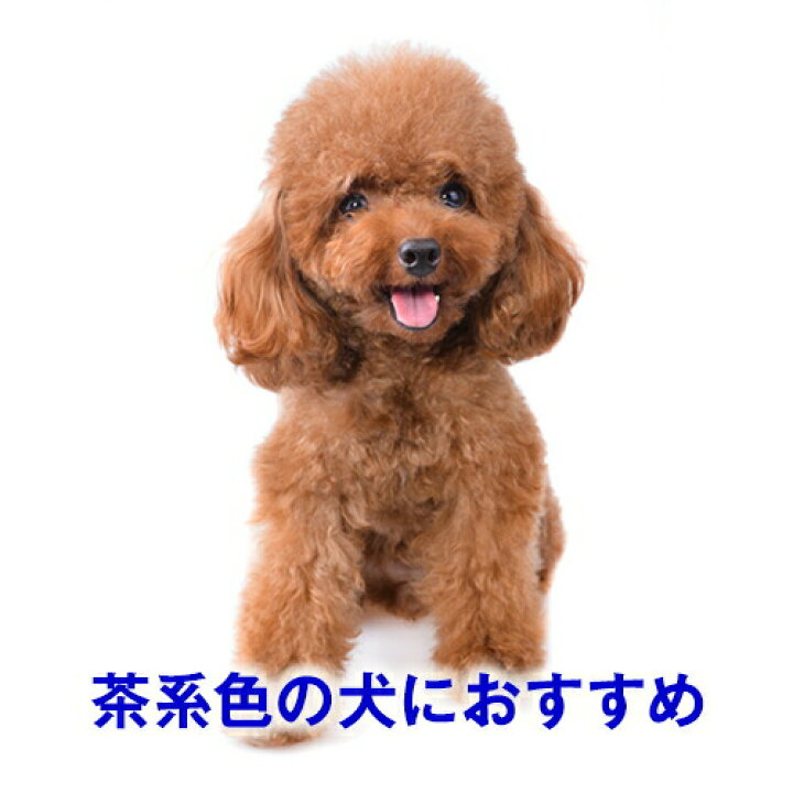 楽天市場 期間限定 10 26 9 59まで 21 ニャンわん Offクーポン タウニー アプリコットシャンプー バイオガンス 250ml 茶系 色用 犬用 高級 あんずの香り オーガニック 天然 消臭 体臭 臭い フケ かゆみ オーガニック 天然 弱酸性 トリミング サロン