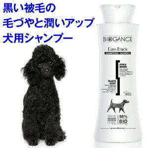 50~N[|E29܂Ł Vv[ їp _[NEubNVv[ioCIKXj A A Y I[KjbN ѕ 邨 Ƃ Ȃ₩  c  