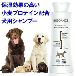 50~N[|E{聚 Vv[ Sp veCvXVv[ioCIKXjS̍  A A Y I[KjbN ѕ тÂ 邨 Ƃ 