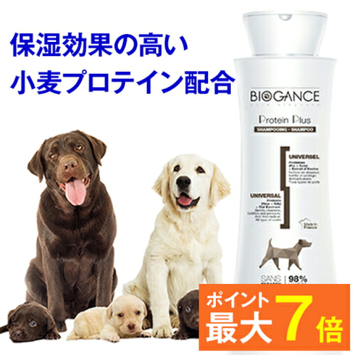 楽天市場 最大p7倍 バイオガンス 犬用 シャンプー プロテインプラスシャンプー 250ml 全犬種用 リンゴの香り フランス Biogance 抜け毛 消臭 体臭 臭い フケ かゆみ オーガニック 天然 弱酸性 トリミング サロン トリマー リンス トリートメント