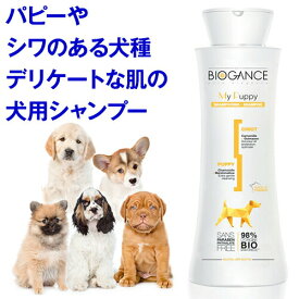 23:59まで◆ポイント最大5倍◆子犬・デリケート犬種用 犬 シャンプー マイパピーシャンプー（バイオガンス）カモミールの花の香り いい匂い 泡 泡立て 無添加 オーガニック 毛並み 毛づや うるおい しっとり しなやか つや ツヤ 艶 天然 低刺激 無添加 弱酸性 敏感肌