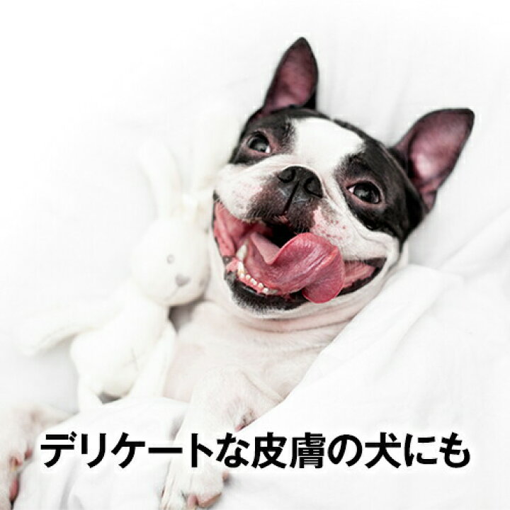 楽天市場 24h限定 11 9 0円 1000円クーポン マイパピーシャンプー バイオガンス 250ml 子犬用 犬用 シャンプー カモミールの花の香り フランス Biogance 消臭 体臭 臭い フケ かゆみ オーガニック 天然 弱酸性 トリミング サロン トリマー
