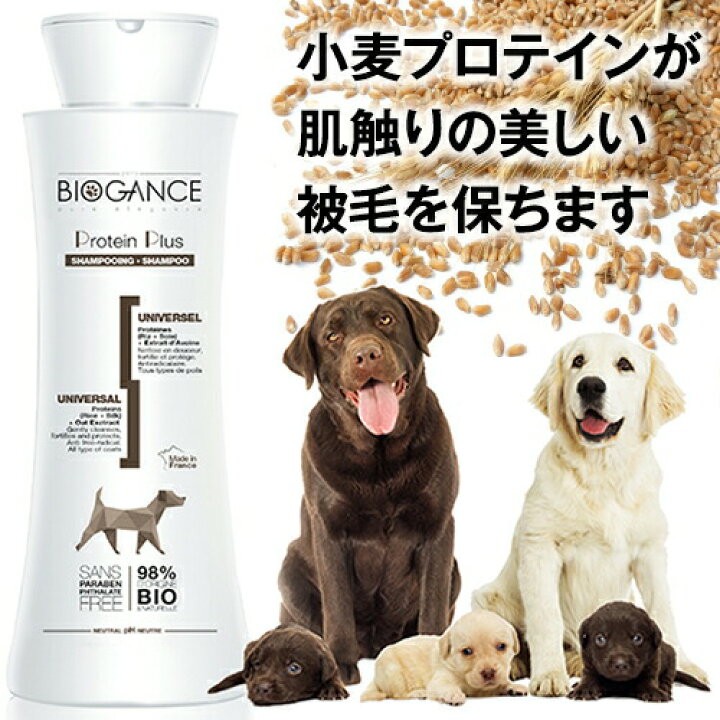 楽天市場】◇トリマー推奨◇犬 シャンプー 全犬種用 プロテインプラス 