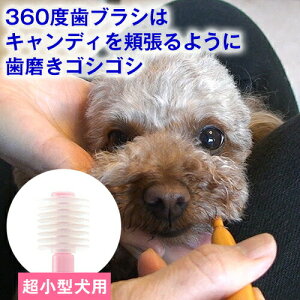 50~N[|E{聚 L uV 360x uVuVOv ^pA^pALp f^PA I[PA oPA  ݂ n~KL uV p q 