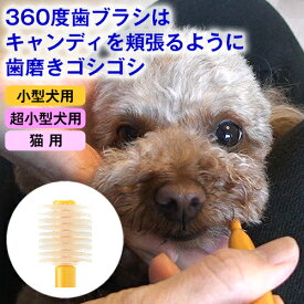 23:59まで◆ポイント最大13倍◆犬 猫 歯ブラシ 360度 歯ブラシ「シグワン」 小型犬用、超小型犬用、猫用 デンタルケア オーラルケア 口腔ケア 歯磨き 歯みがき ハミガキ 歯ブラシ 犬用 子犬 成犬 シニア犬 口臭 予防 歯垢 歯石 マッサージ 口 くさい 臭い 磨きやすい
