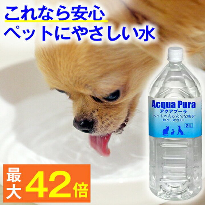 所持 憧れ ひばり 犬 ミネラル ウォーター 困った 除外する 節約する