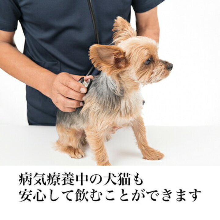 楽天市場 あす楽 ペット用 水 飲料水 アクアプーラ 2l 6本 箱 ケース 犬 猫 ストラバイト 尿路結石症 内臓疾患 ミネラルゼロ ペット 浄水器 ペットウォーター 犬用 猫用 猫用水 水素水 硬度0 軟水 中性 避難用 保存用 非常用 災害 備蓄 備蓄水 防災 非常食