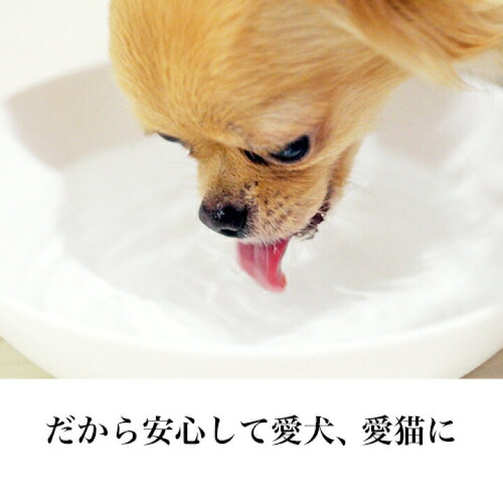 楽天市場 あす楽 ペット用 水 飲料水 アクアプーラ 2l 6本 箱 ケース 犬 猫 ストラバイト 尿路結石症 内臓疾患 ミネラルゼロ ペット 浄水器 ペットウォーター 犬用 猫用 猫用水 水素水 硬度0 軟水 中性 避難用 保存用 非常用 災害 備蓄 備蓄水 防災 非常食