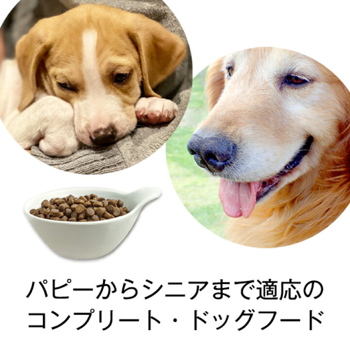 楽天市場】☆ペットの健康を考えたフード☆ フィッシュ4 犬 オーシャン 