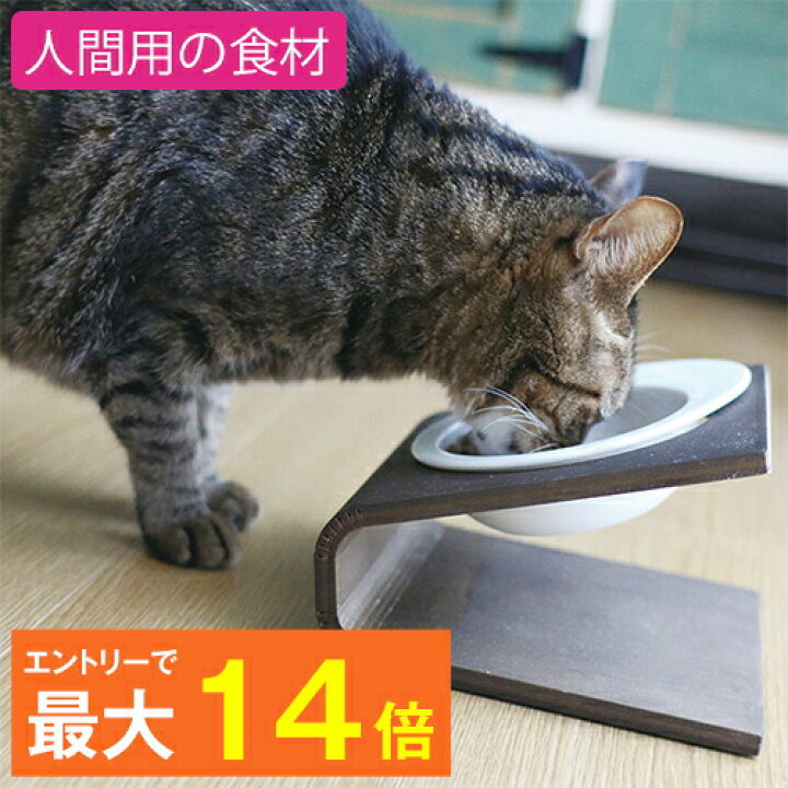 楽天市場 最大p14倍 魚のepa Dhaで毛づやアップ 猫 キャットフード グリーンフィッシュ 500g Greenfish ドライフード 全年齢対応 無添加 魚 ネコ ねこ ペット 餌 エサ えさ ごはん 子猫 成猫 シニア 高齢猫 アレルギー スコティッシュ マンチカン