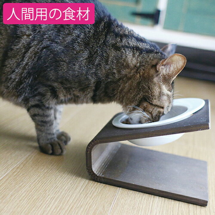 楽天市場 魚のepa Dhaで毛づやアップ 猫 キャットフード グリーンフィッシュ Greenfish ドライフード 500g 全年齢対応 無添加 魚 ネコ ねこ ペット ペット用品 餌 エサ えさ ごはん 子猫 成猫 シニア 高齢猫 アレルギー スコティッシュ マンチカン