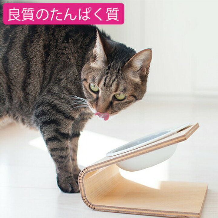 楽天市場 最大p14倍 魚のepa Dhaで毛づやアップ 猫 キャットフード グリーンフィッシュ 1 5kg Greenfish ドライフード 全年齢対応 無添加 魚 ネコ ねこ ペット 餌 エサ えさ ごはん 子猫 成猫 シニア 高齢猫 アレルギー スコティッシュ マンチカン