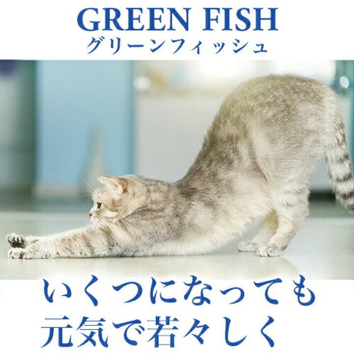 楽天市場 最大p14倍 魚のepa Dhaで毛づやアップ 猫 キャットフード グリーンフィッシュ Greenfish ドライフード 1 5kg 全年齢対応 無添加 魚 ネコ ねこ ペット 餌 エサ えさ ごはん 子猫 成猫 シニア 高齢猫 アレルギー スコティッシュ マンチカン