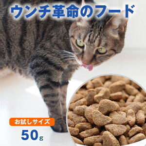 ������ 50g�y�b��t��E�z�O���[���t�B�b�V�� �L �L���b�g�t�[�h ���͂� ���� �C���h�A �����Ő������鐬�L�p �̏d�Ǘ� �_�C�G�b�g �E���`�v�� ���K�i �� EPA DHA �тÂ� �S�N��Ή� ���Y�� 