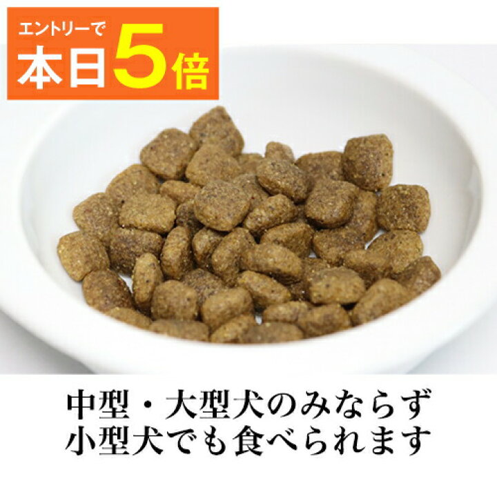 楽天市場 本日p5倍 魚のepa Dhaで賢く 痴呆症予防 グリーンフィッシュ 中粒12kg Greenfish 犬 ドライフード 無添加 犬用品 犬用フード 犬のえさ ペット 餌 エサ えさ シニア アレルギー 中型 大型 コーギー 柴犬 シュナウザー フレンチ ブルドッグ