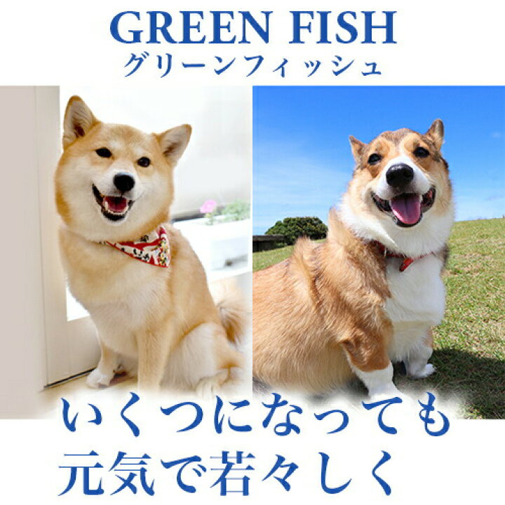 楽天市場 ポイント最大16倍 グリーンフィッシュ 犬 中粒12kg 魚のepa Dhaで賢く 痴呆症予防 無添加 ドライフード 犬用フード 犬のえさ 餌 エサ えさ シニア アレルギー 中型 大型 コーギー 柴犬 シュナウザー ぺったんpet