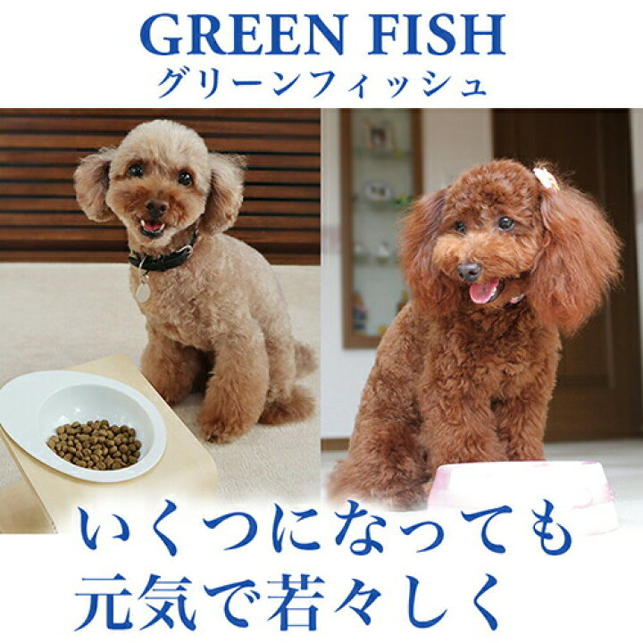 楽天市場 期間限定 11 18まで ポイント5倍 グリーンフィッシュ 犬 お試しサイズ 小粒450g 新鮮な魚で食いつきが良い 無添加 ドライフード ドッグフード 餌 エサ えさ ごはん 子犬 成犬 シニア 高齢犬 目やに 目ヤニ 涙やけ 涙ヤケ アレルギー ぺったんpet 楽天市場 期間限定 11 18まで ポイント5倍 グリーンフィッシュ 犬 お試しサイズ 小粒450g 新鮮な魚で食いつきが良い 無添加 ドライフード ドッグフード 餌 エサ えさ ごはん 子犬 成犬 シニア 高齢犬 目やに 目ヤニ 涙やけ 涙ヤケ アレルギー ぺったんpet