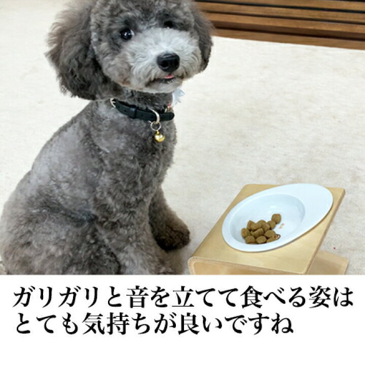 楽天市場 ポイント最大16倍 グリーンフィッシュ 犬 中粒12kg 魚のepa Dhaで賢く 痴呆症予防 無添加 ドライフード 犬用フード 犬のえさ 餌 エサ えさ シニア アレルギー 中型 大型 コーギー 柴犬 シュナウザー ぺったんpet