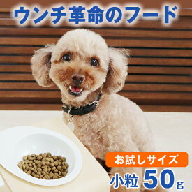＼間もなく終了★P2倍＋特典クーポン／お試し 50g 【獣医師会推薦】グリーンフィッシュ 犬 小粒 ドッグフード アダルト ごはん ご飯 魚 体重管理 ダイエット ウンチ EPA DHA 認知 無添加 ドライフード 犬のえさ 餌 エサ えさ 成犬 アレルギー 小型 中型 大型